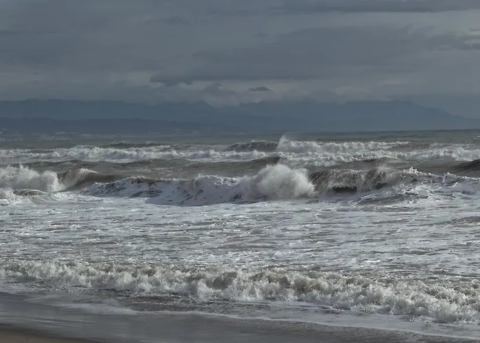 Bed and breakfast Joy Torremolinos