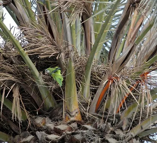 Bed and breakfast Joy 2*