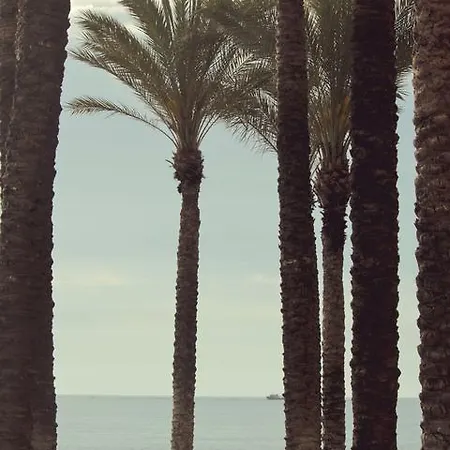 Joy Frühstückspension 2*