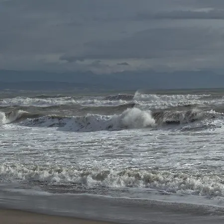 Nocleg ze śniadaniem Joy Torremolinos
