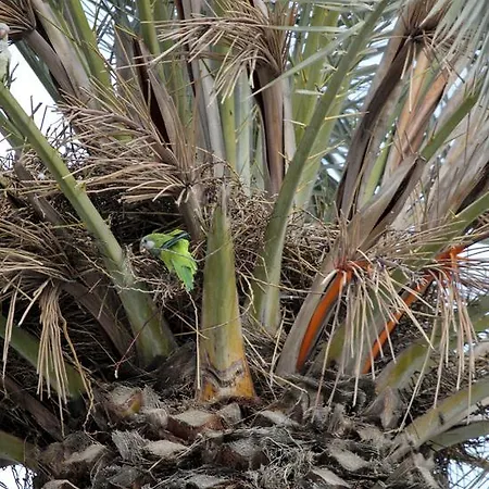 Frühstückspension Joy 2*