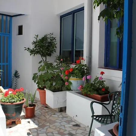 Joy Bed & Breakfast 2*