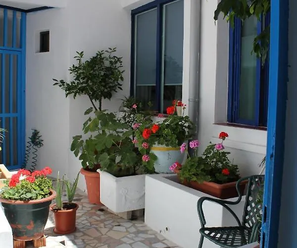 Joy Bed & Breakfast 2*