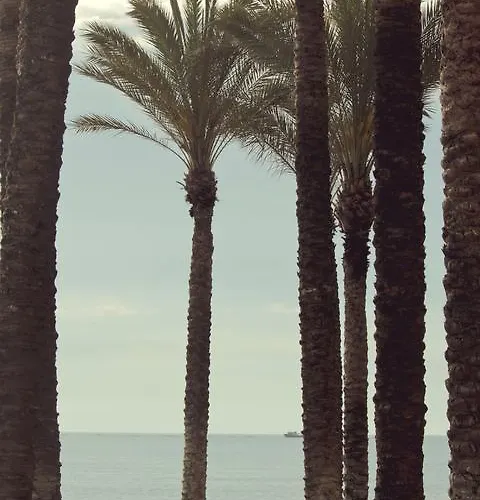 Joy Bed & Breakfast 2*