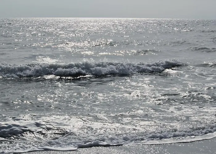 Bed & Breakfast Joy 2*