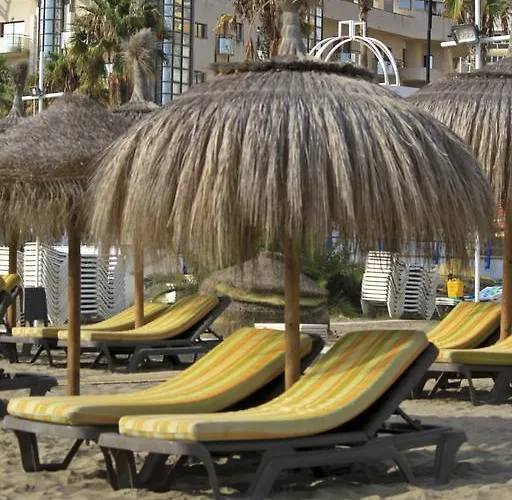 Alojamento de Acomodação e Pequeno-almoço Joy