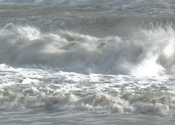 Alojamento de Acomodação e Pequeno-almoço Joy
